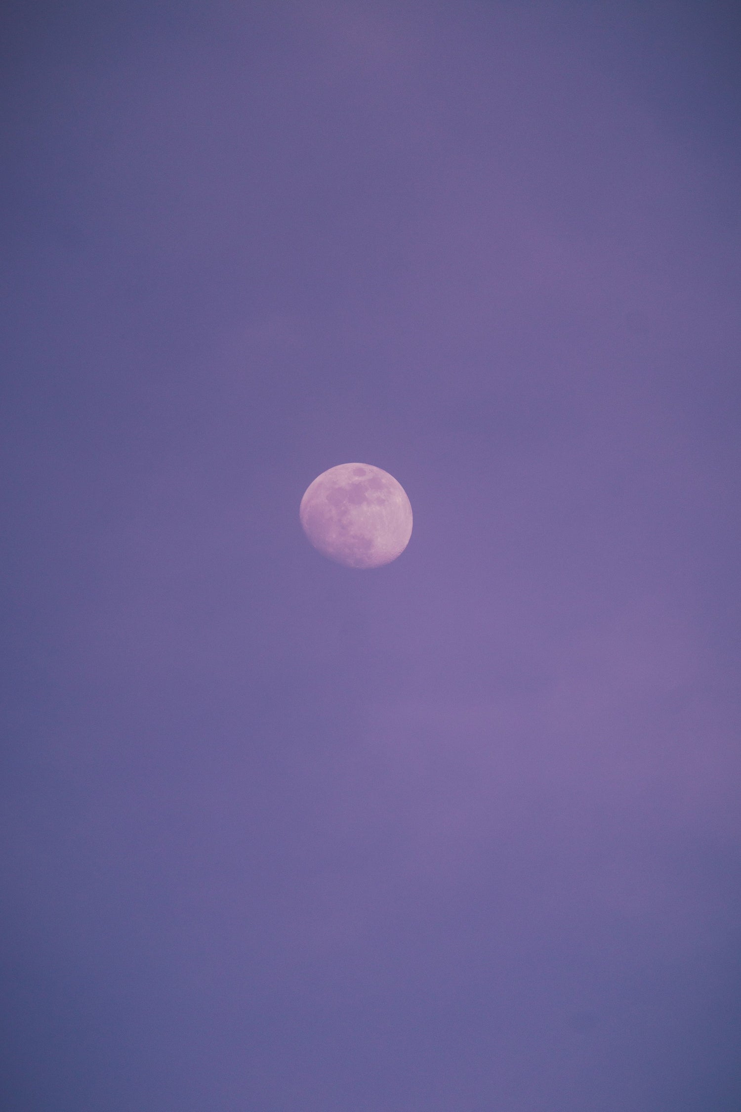 Chopin - 21 Nocturnes