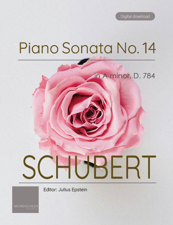 Schubert - Piano Sonata No. 14 in A minor, D. 784 (PDF Sheet Music / D ...