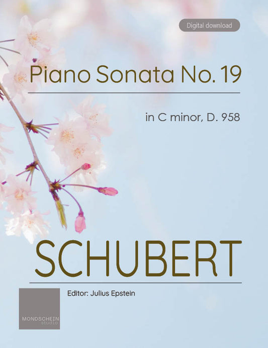 Schubert - Piano Sonata No. 19 in C minor, D. 858 (PDF Sheet Music / Digital Download)